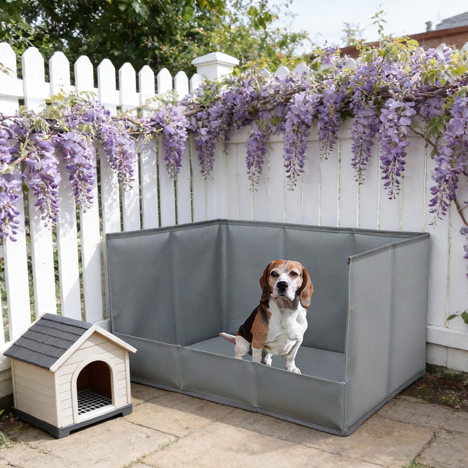 Tragbare Indoor-Hundetoilette  – Bench Dog Hole Bewertung und Preis